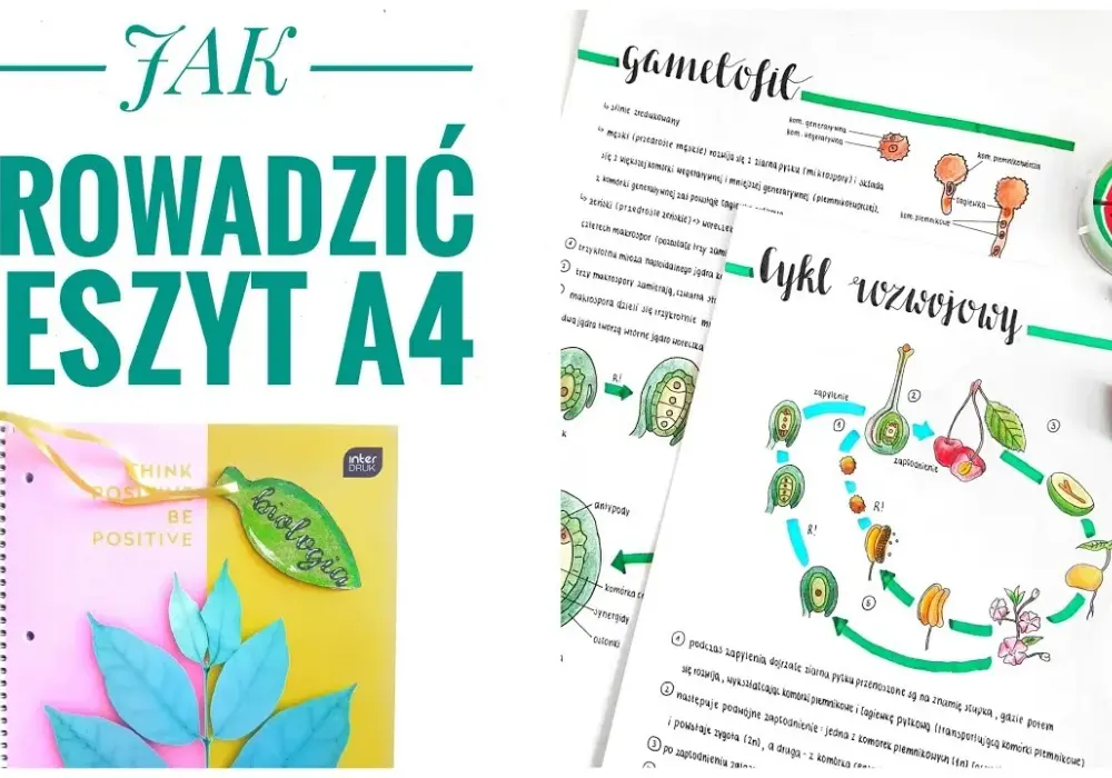 Jak estetycznie prowadzić zeszyt, aby był funkcjonalny i piękny
