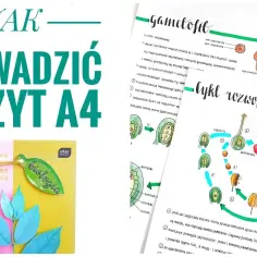 Jak estetycznie prowadzić zeszyt, aby był funkcjonalny i piękny